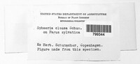 Image Associated With the Occurence